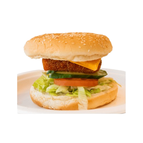 Veg Cheese Burger