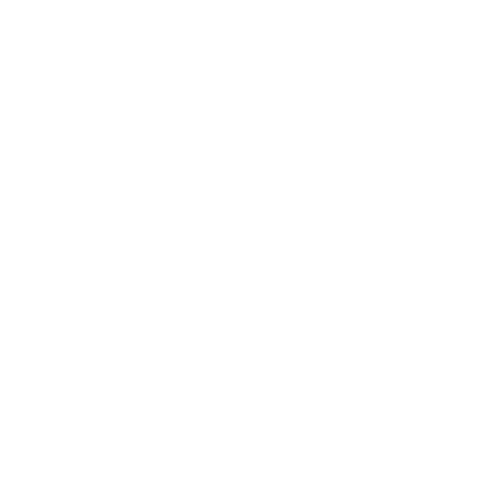 Special Menu